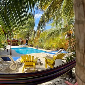 Oasis Guesthouse, Boutique Style 3*, Kralendijk (Bonaire) Bonaire, Saint Eustatius and Saba